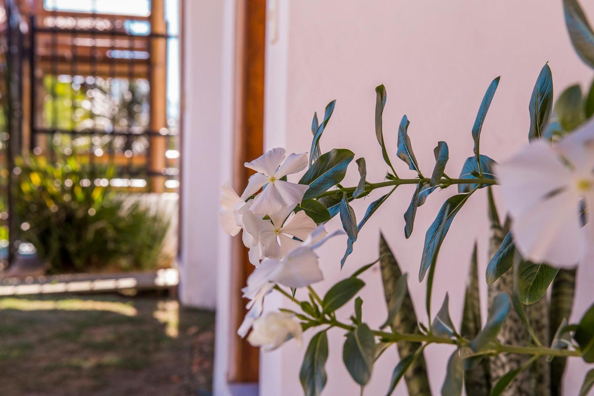 Pousada Refugio Da Harmonia イリャベラ エクステリア 写真